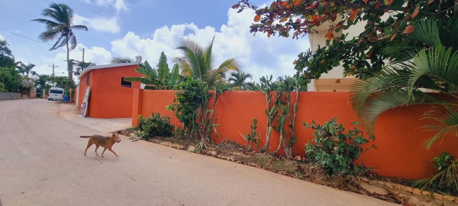 El Jardin Del Coco, Apartamento 14 - Near La Playita Beach Las Galeras Exterior photo